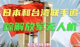 行动最新爆料,揭秘神秘事件背后的真相与内幕