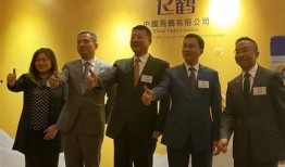 飞鹤最新爆料新闻消息今天,揭秘婴幼儿奶粉行业新动态！